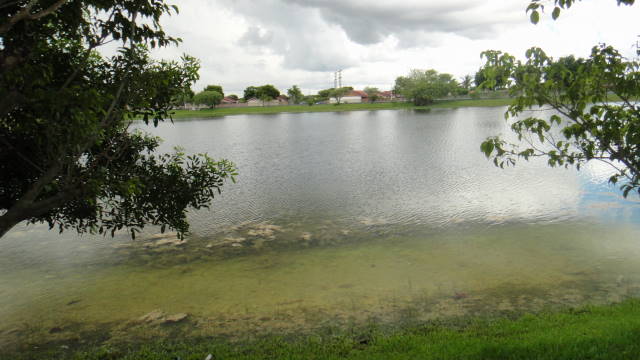 Miami Pequeño Lago En Zona Recidencial