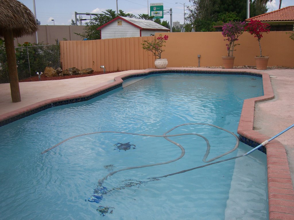 Pool.