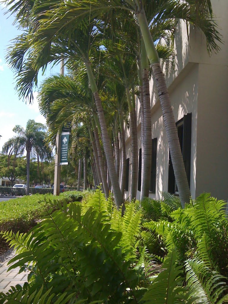 Front of Hospital