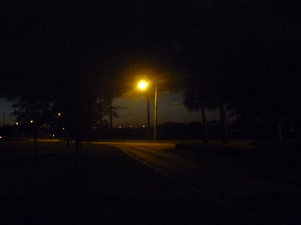 Night Lamp