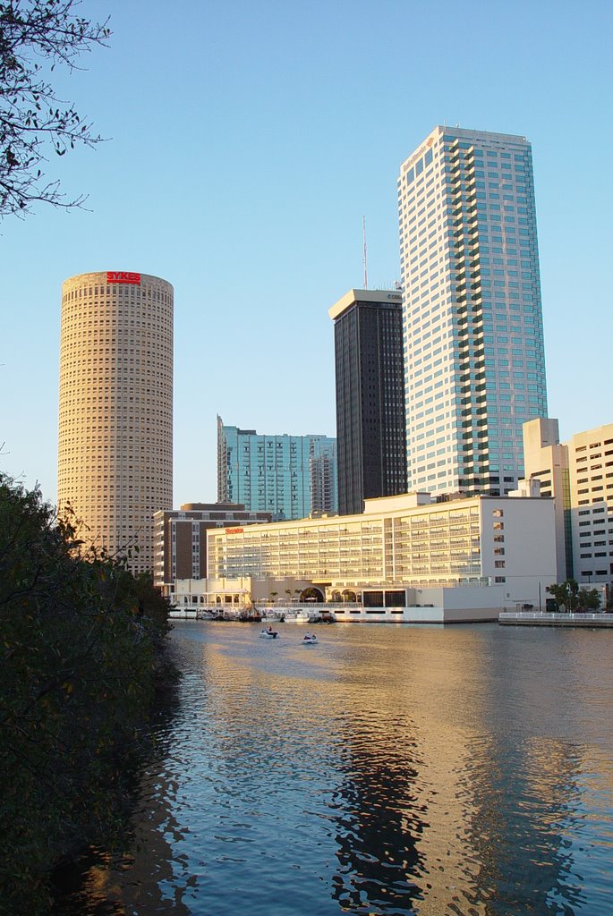 Tampa skyline from the Hillsborough River (2-2009)