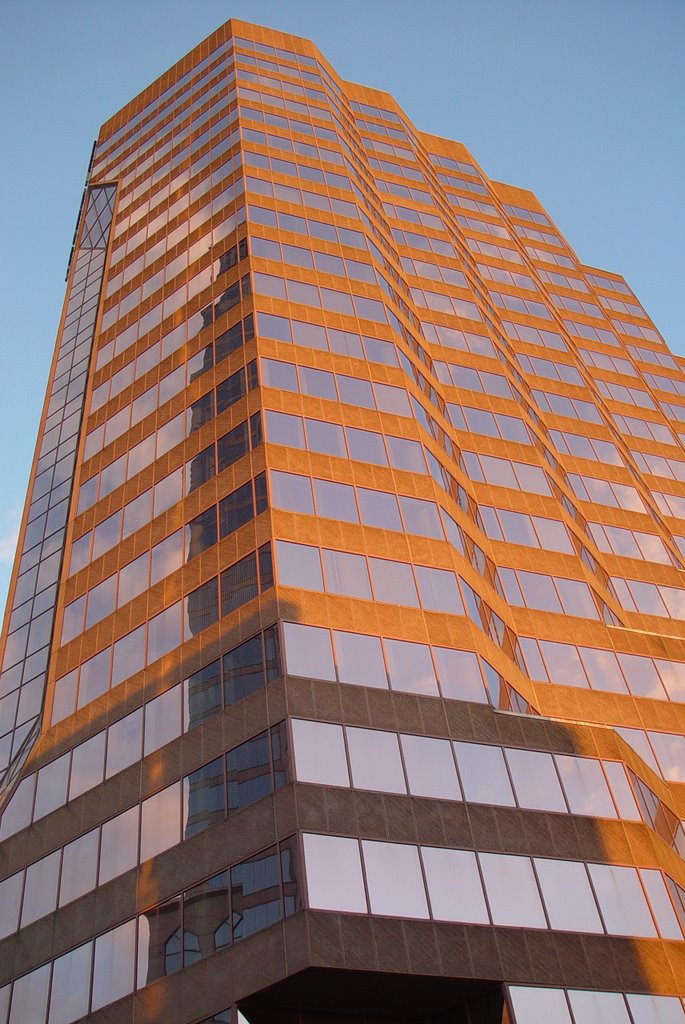 golden skyscaper, Tampa (2-2009)