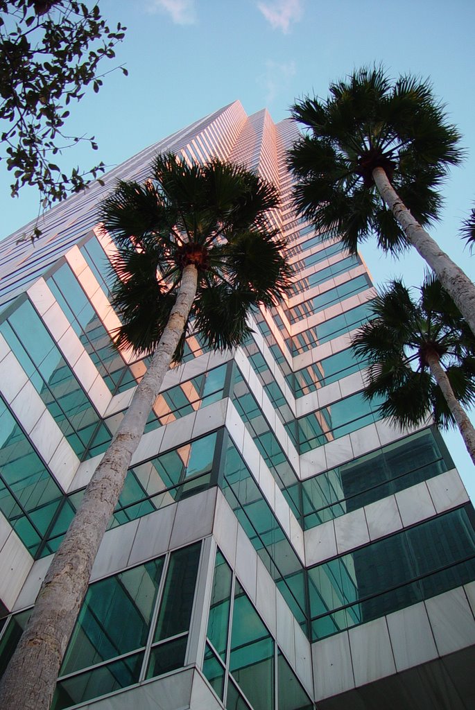 looking toward the sky, BofA building, Tampa (2-2009)