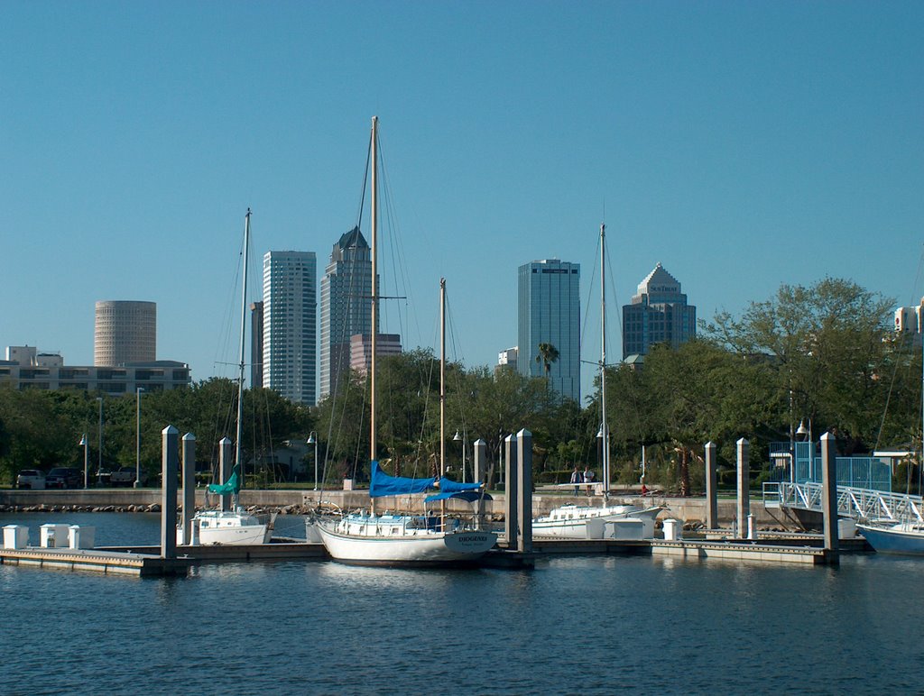 Davis Island Harbor - Tampa FL