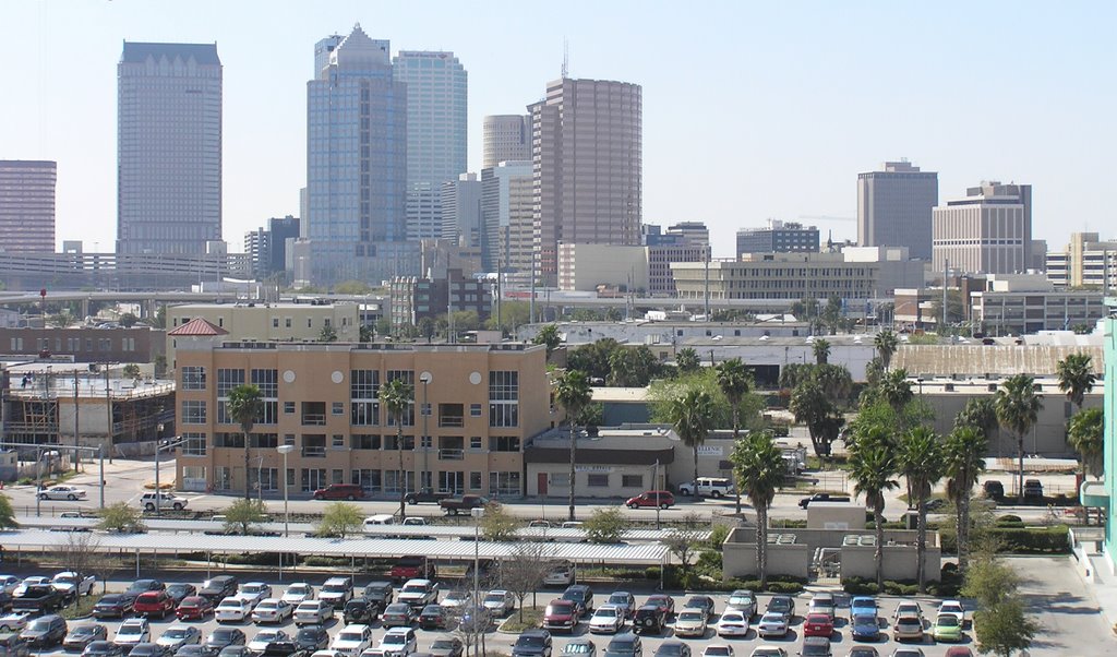 Tampa seen from a cruise ship