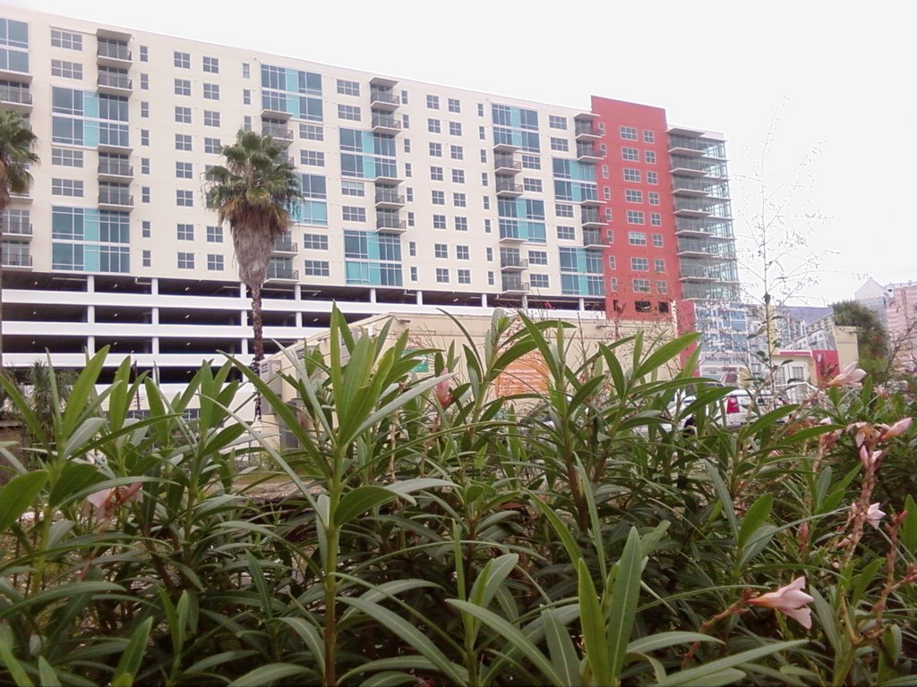 Downtown Tampa - Looking SW