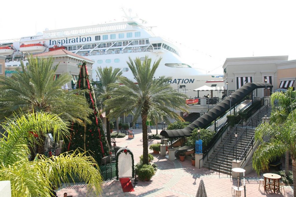 Cruise Liner at Channelside in December
