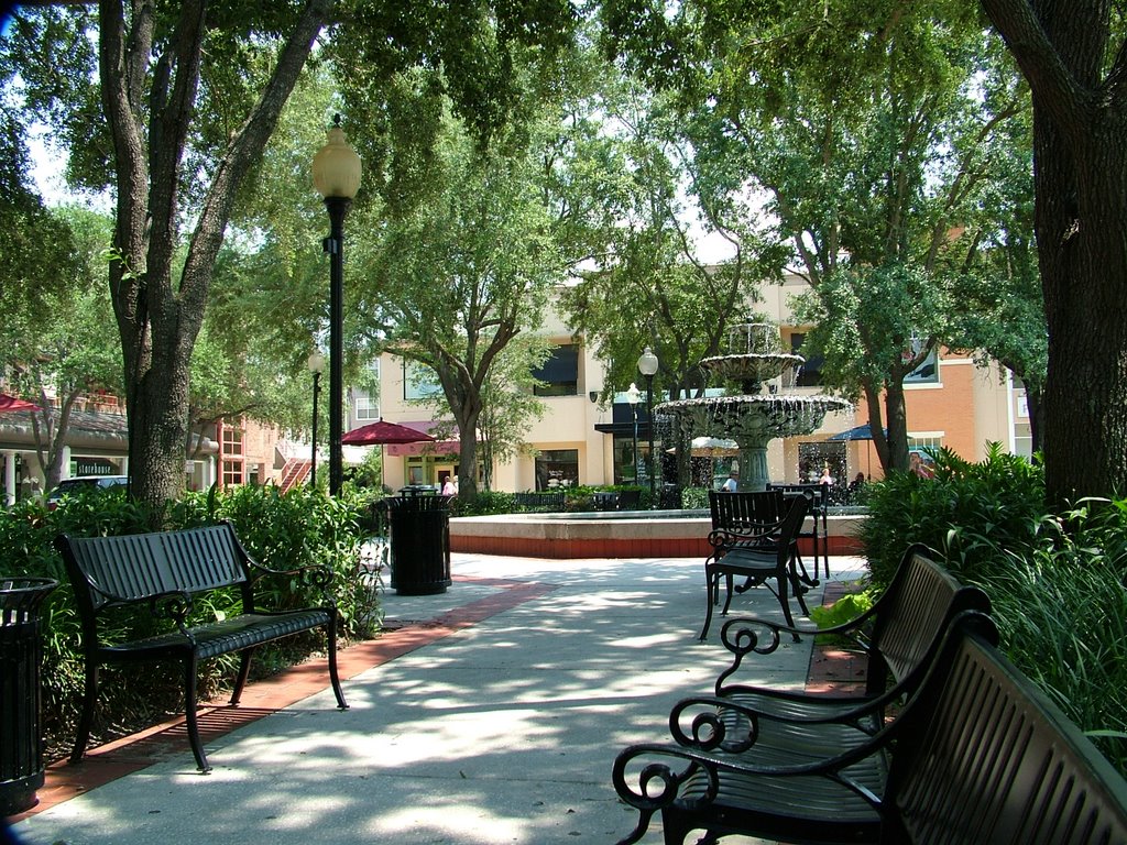 Old Hyde Park Village  Tampa