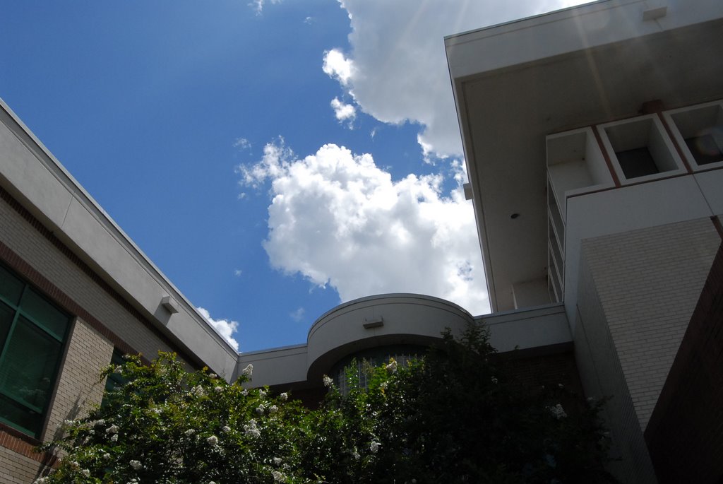 USF, Tampa, FL