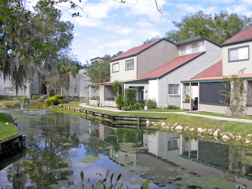 Palm Lake