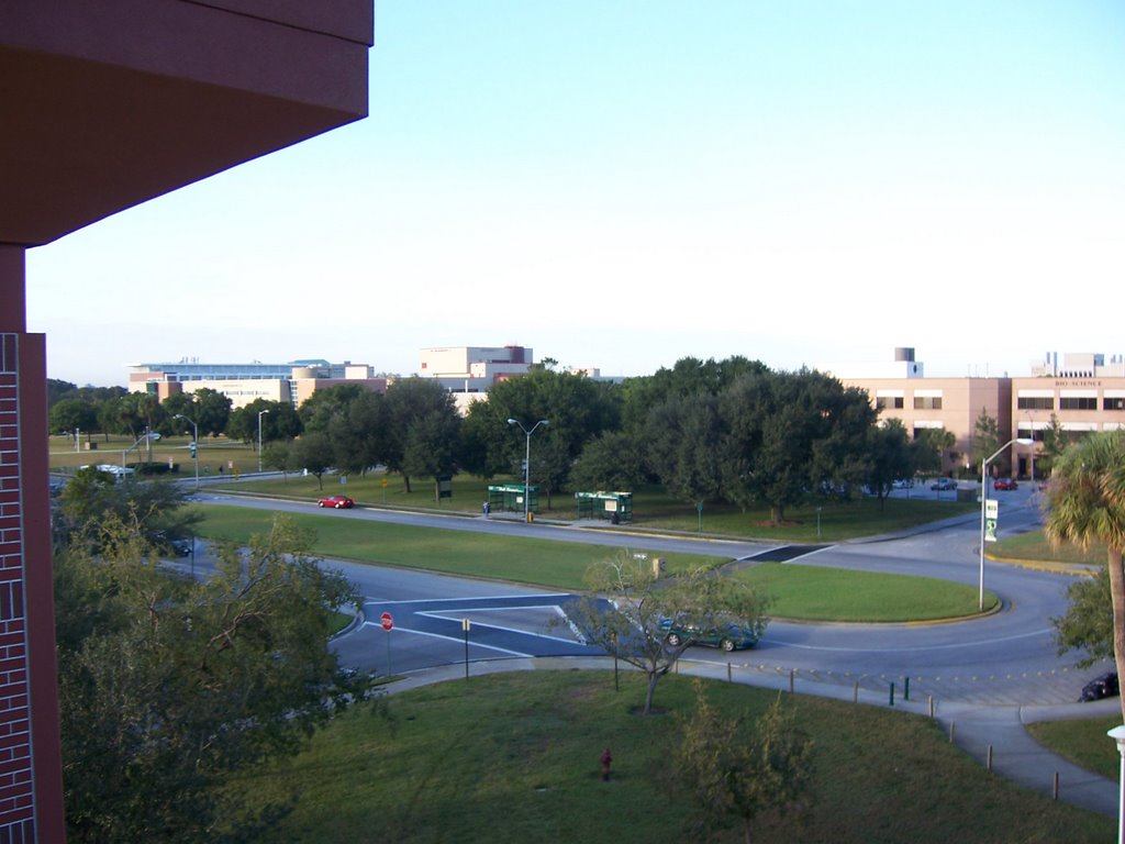 View from parking garage