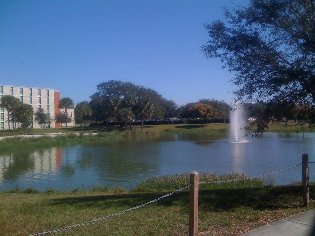 USF Pond