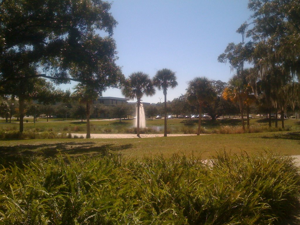 USF in front of castor hall