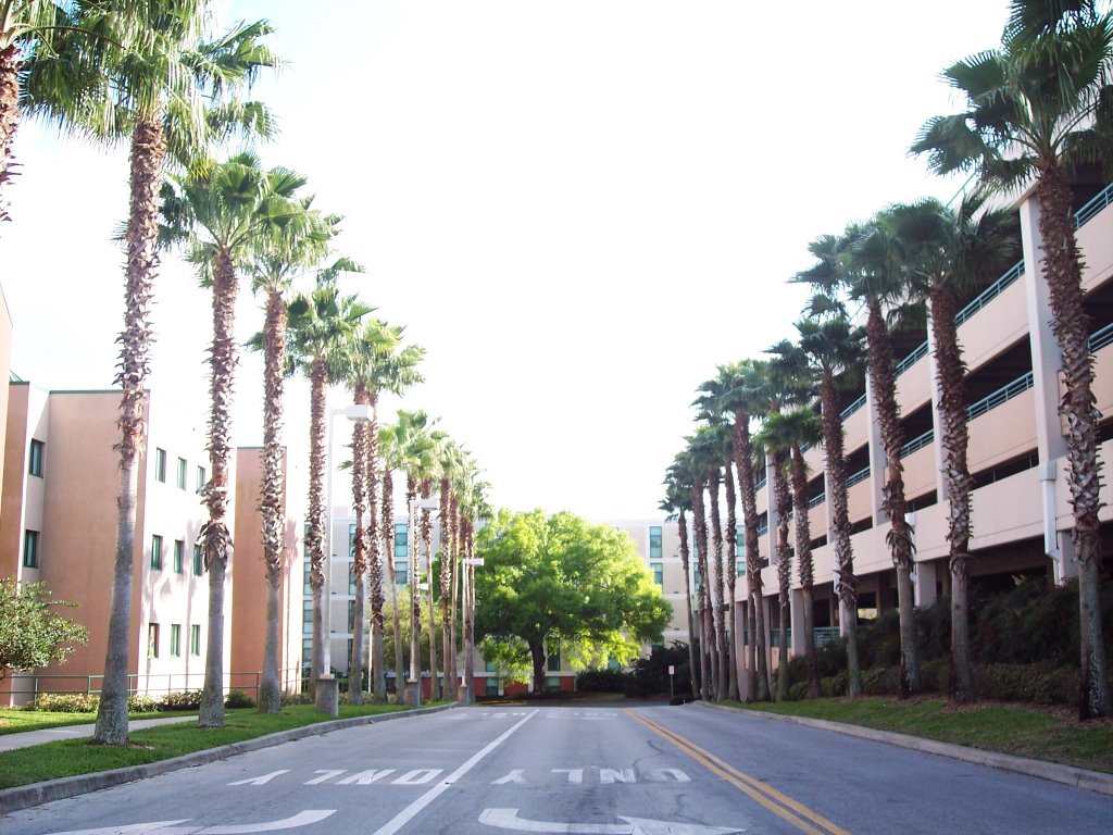 USF