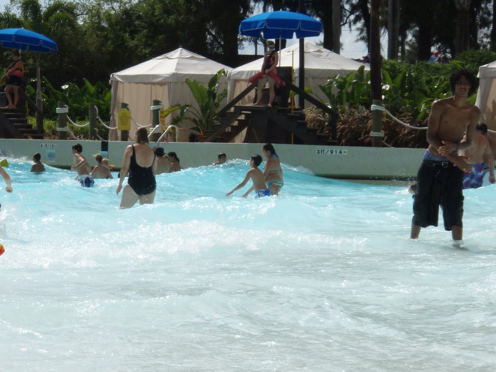 Endless Surf - Adventure Island wave pool