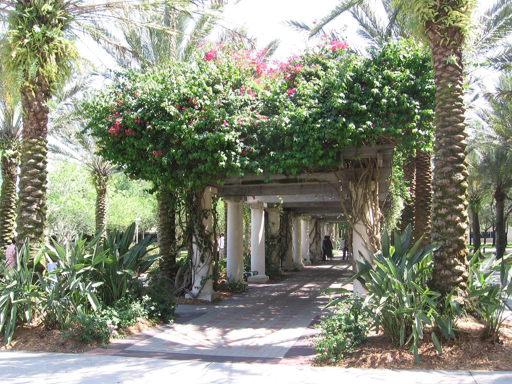 University of South Florida Trellis