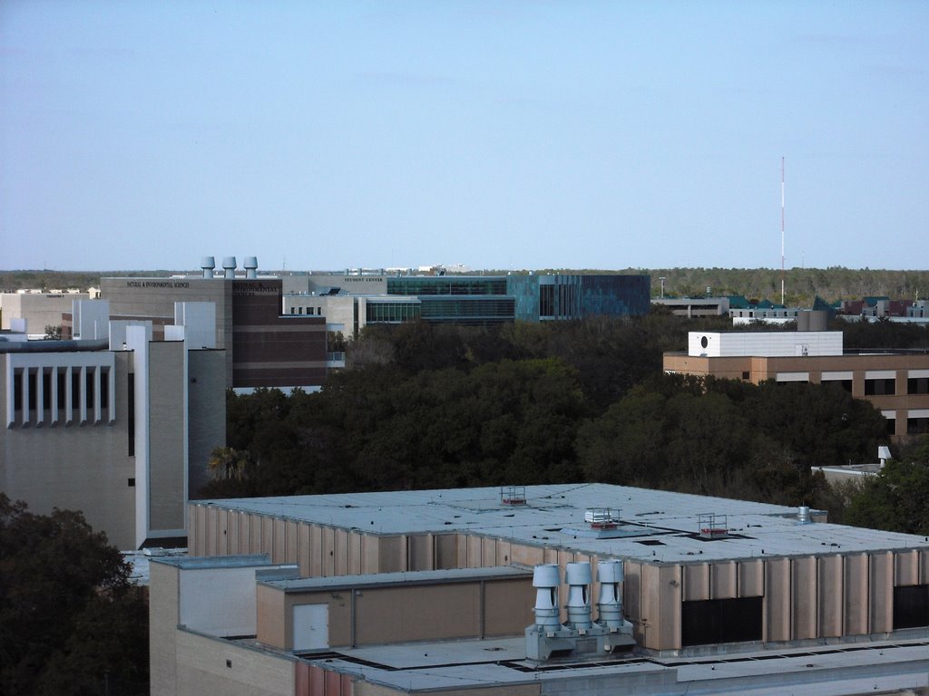USF Marshall Student Center
