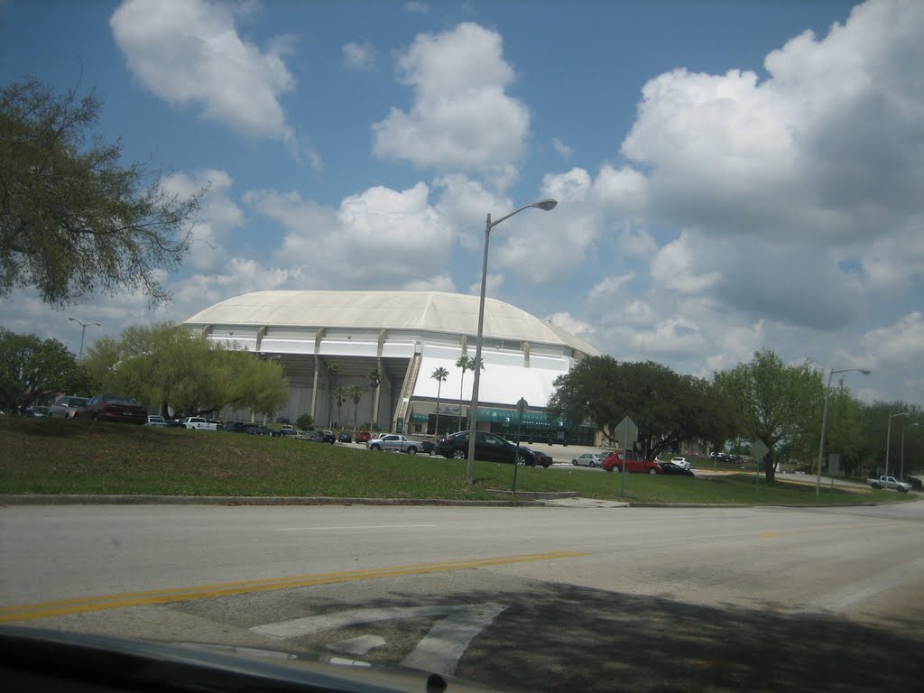 Sub Dume in Tampa