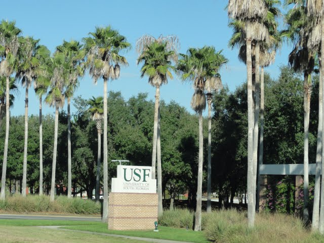 The University of South Florida - outubro de 2010.