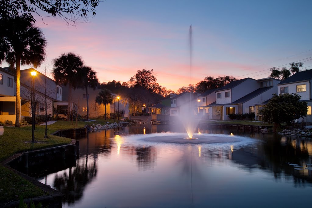 Dawn Lake, Urban Place Apartments, Tampa Florida