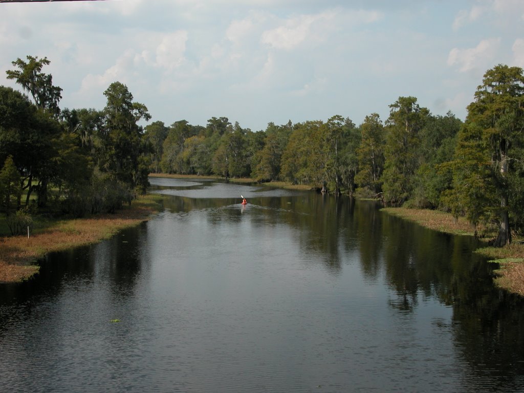Hillsbrough River at Fletcher Ave. looking north