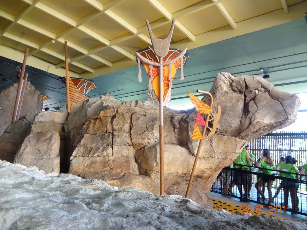 Cheetah Hunt  -  Busch Gardens