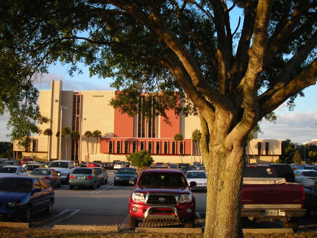 USF Library