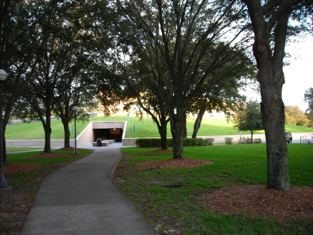 USF Business Building