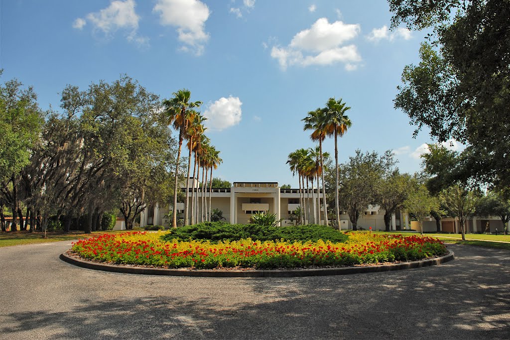 Lifsey House