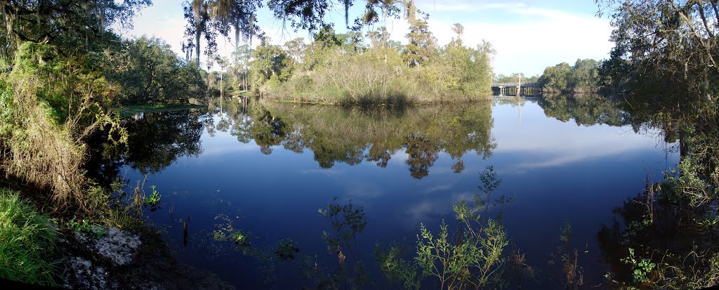 Hillsborough River, just below Fletcher Ave bridge, Temple Terrace Fla (10-19-2012)