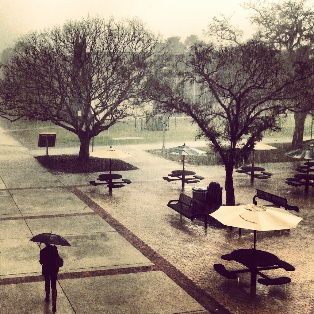 USF Rainstorm