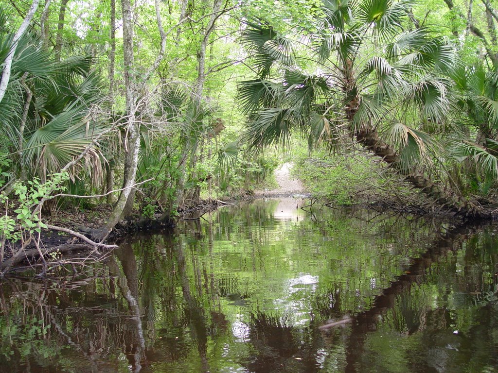 Canal from Alexander Springs Creek to Shell Landing