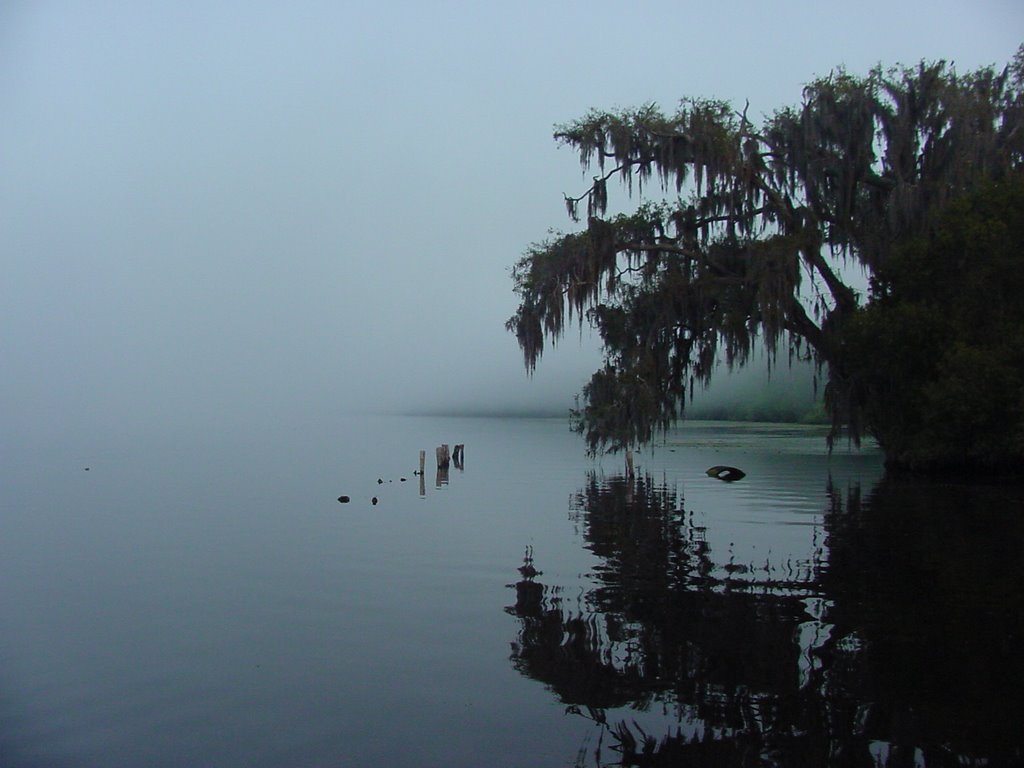 Steamboat Dock Ruins - Bluffton, Florida