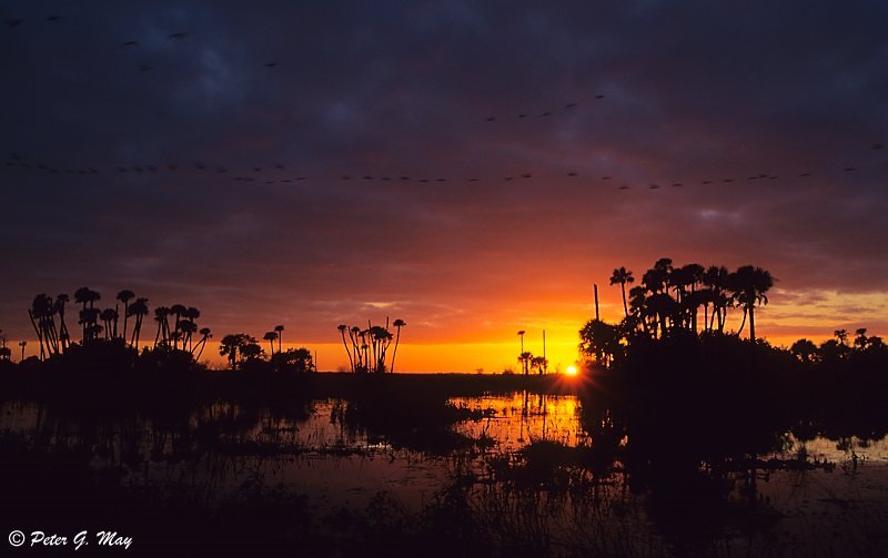 Sunset, Lake Woodruff NWR