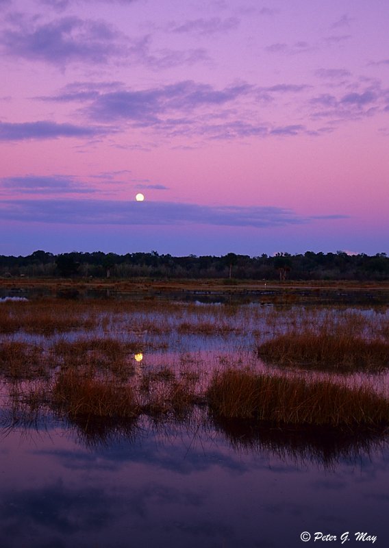 Moonrise, Lake Woodruff NWR