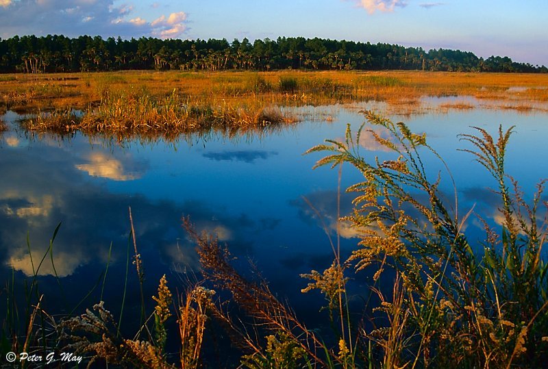 Lake Woodruf NWR Pool 2