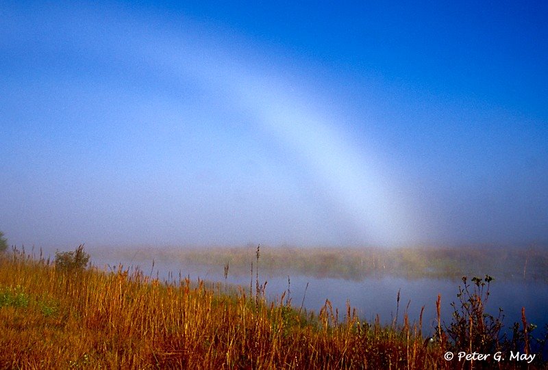 Fogbow at Lake Woodruff NWR