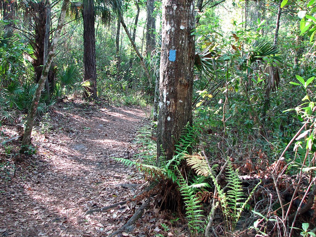Blue trail