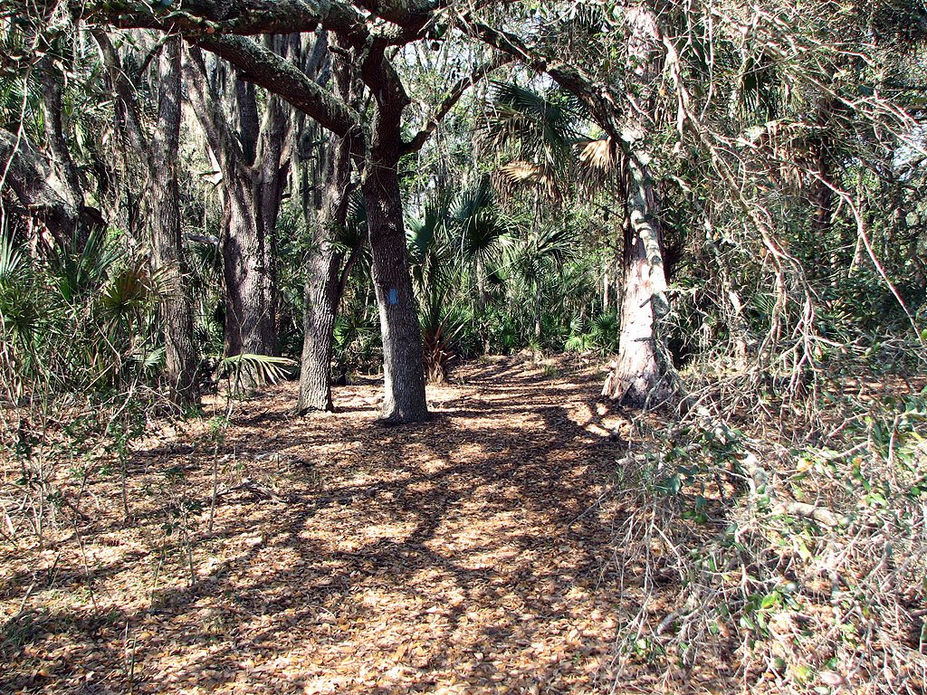 Blue trail