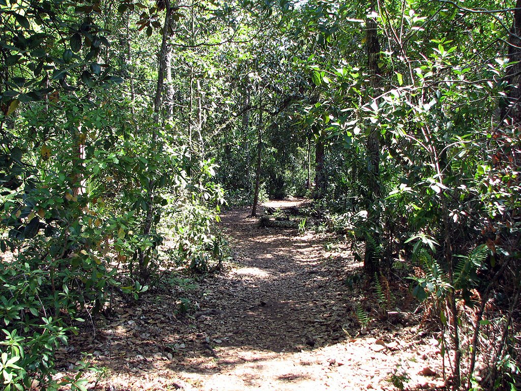 Blue trail
