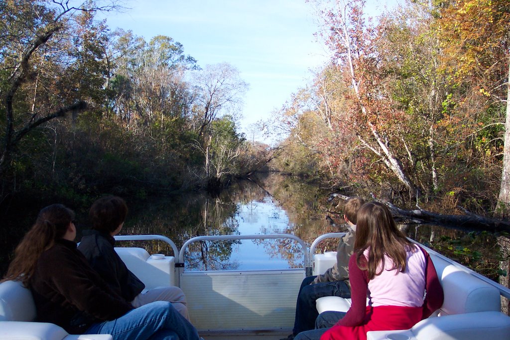 Looking for gators