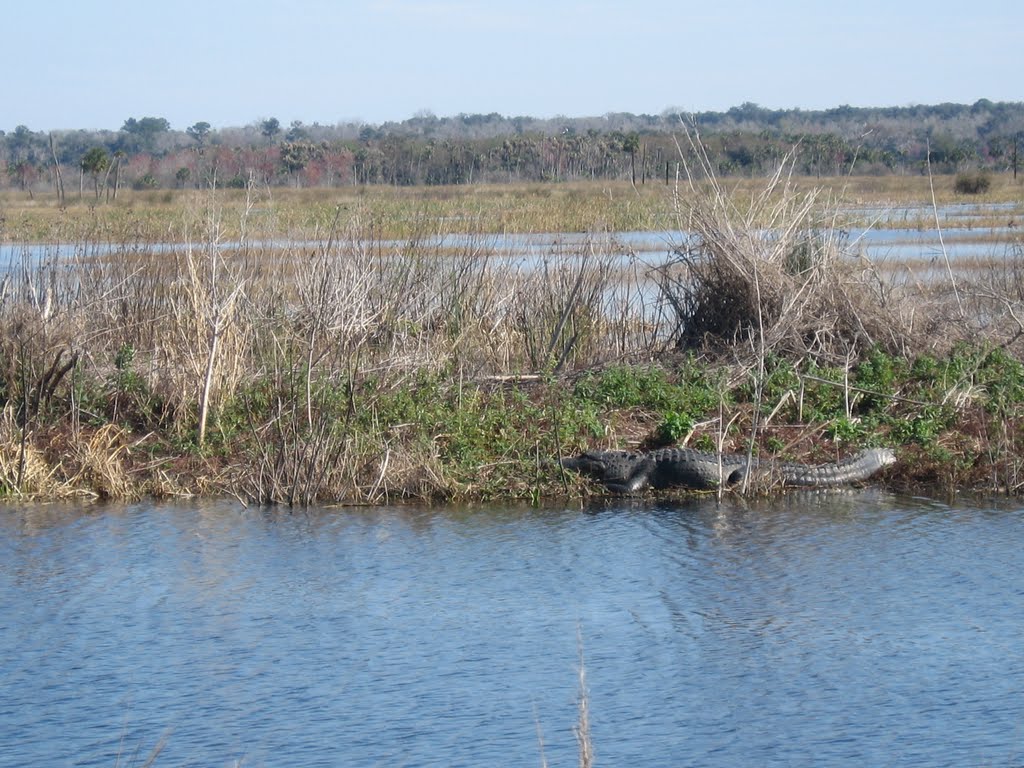 Lake Woodruff National Wildlife Refuge