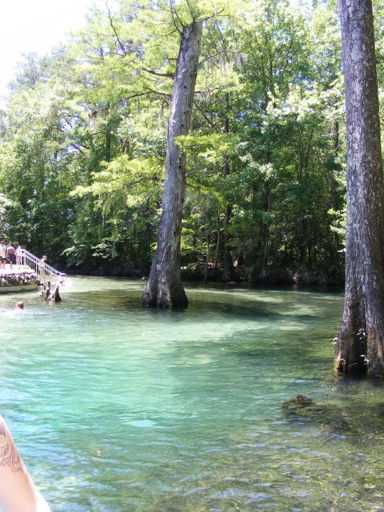 Ponce De Leon Springs