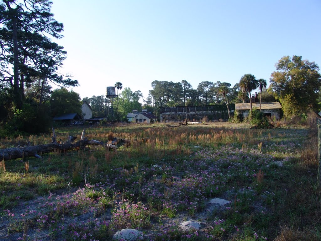 historic Bob White citrus packing house, soon to be demolished! DeLeon Springs (3-19-2011)