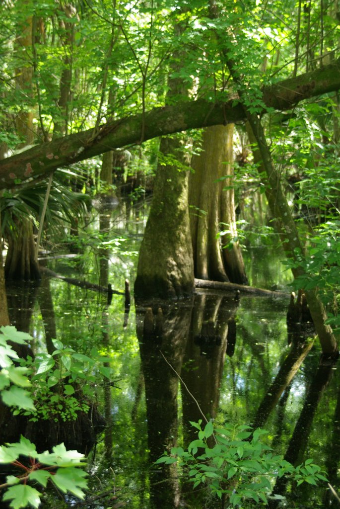 Woodruff Lake NWR