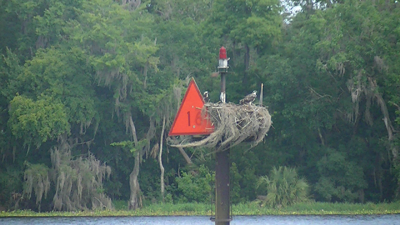 Mile marker 16
