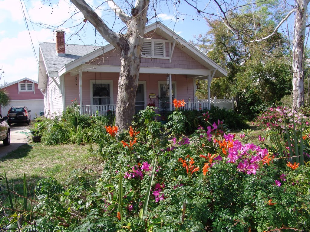 bungalow in bloom, Titusville (2-24-2011)