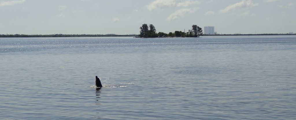 DSC03592 Alien Sighting and VAB