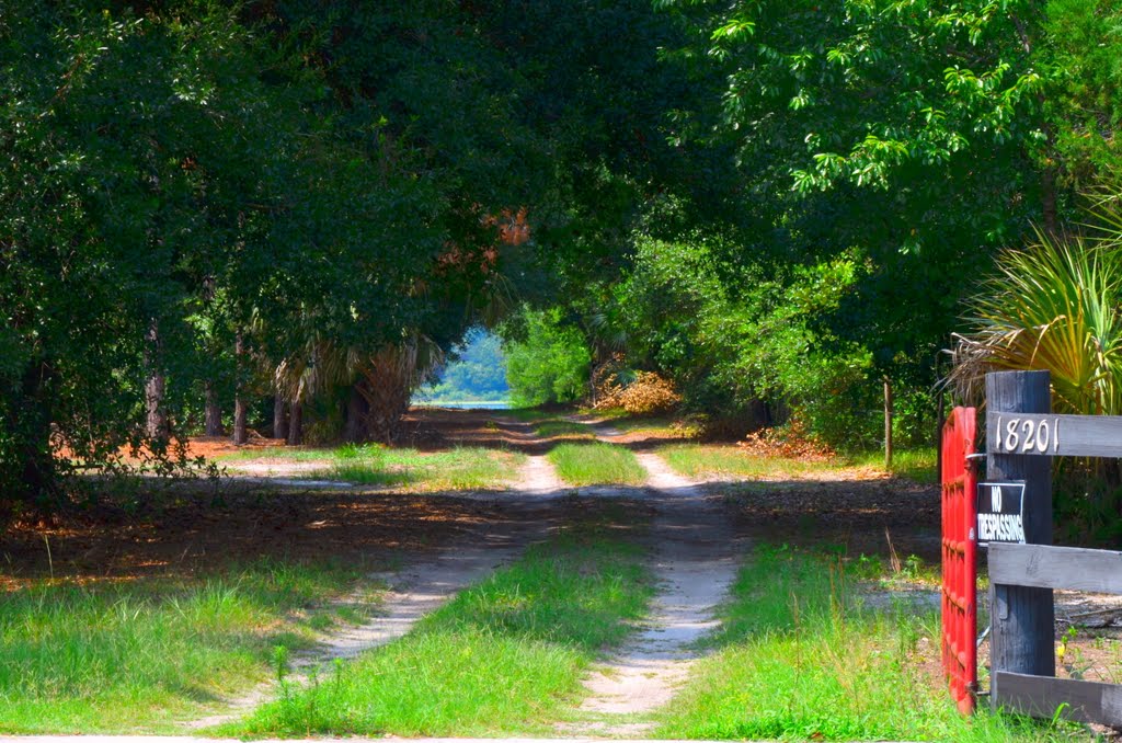 Dreamy Driveway