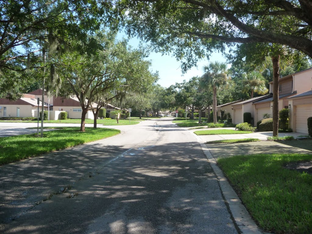 Neighborhood Street